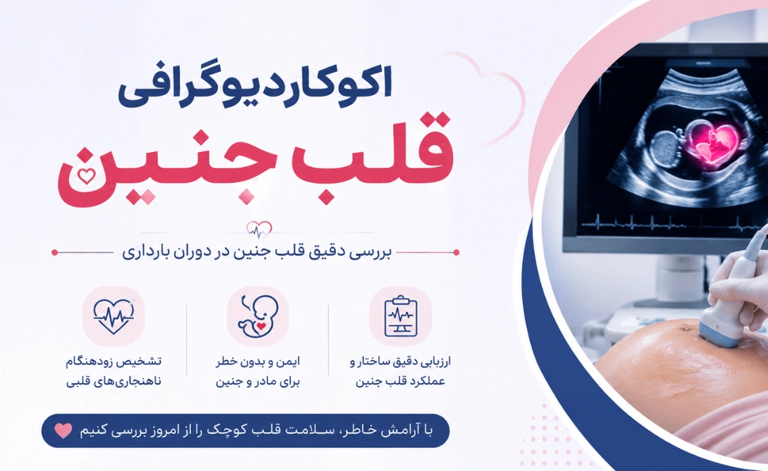 اکوکاردیوگرافی قلب جنین